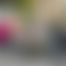 🍞 OPERATION BRIOCHES 🍞