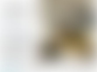 Vendredi 29 Novembre, l'Acpei et ses partenaires ont inauguré le nouvel habitat inclusif, quartier Chanzy...