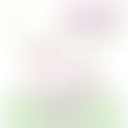 Prochainement, une boutique éphémère au FAM PHV CLAUDE MEYER