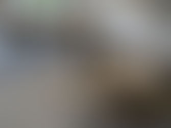 🟢 Des jeunes de l'IME Le Tremplin s'occupent de la restauration lors d'un repas organisé par l'Unapei 🟢