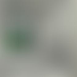 Le 7 octobre dernier, l'Union a mis en lumière des jeunes de l'IME Le Tremplin