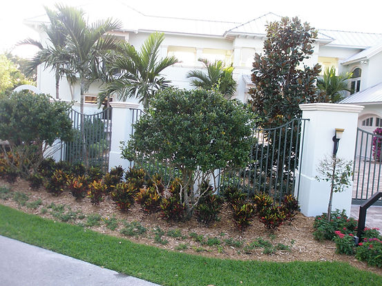 Curbside Landscape