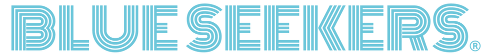 BS TEXT LOGO GM001.png