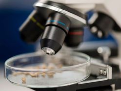 Atlas de Parasitologia é produzido pelos cursos de Farmácia e Medicina da Suprema