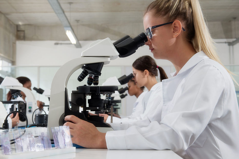 Volume 2 do Atlas de Parasitologia é produzido pelos cursos de Farmácia e Medicina da Suprema