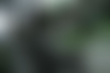 Patrimonio de Santiago: Cementerio General