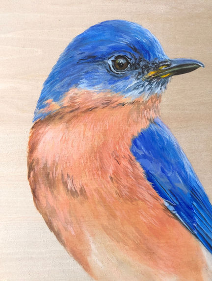 small portrait of eastern bluebird painted in acrylic on wood panel