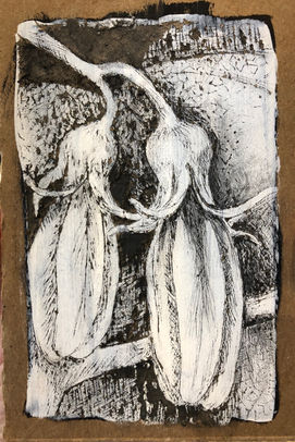 fleursd’aubergines.jpeg