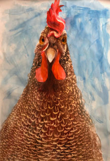 large ink and bleach portrait painting of a speckled sussex laying hen