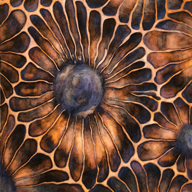 ink, watercolor, and bleach painting of a petoskey stone (fossilized coral)