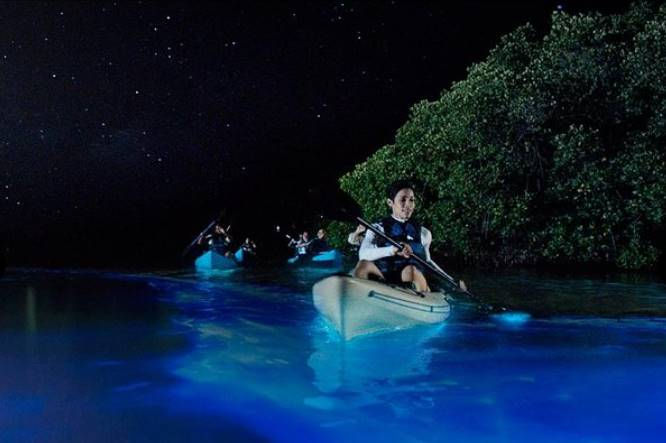 passeio de caiaque noturno com bioluminescencia ilha de boipeba