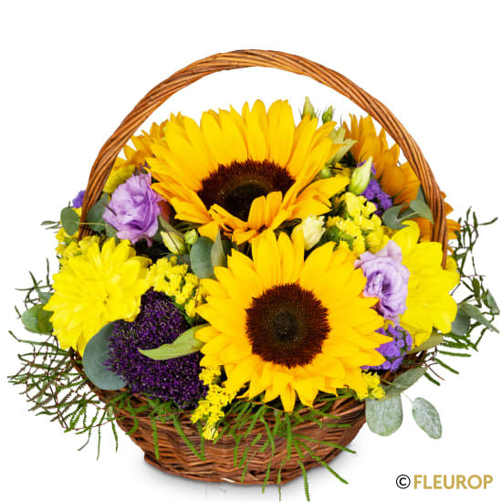 Miniaturbild: Power of Summer
