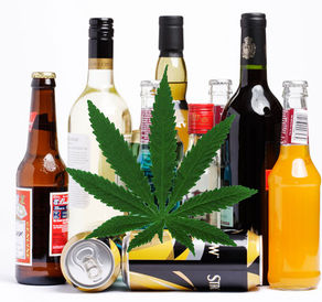 One Toke (or sip) Over The Line, Sweet Trucker