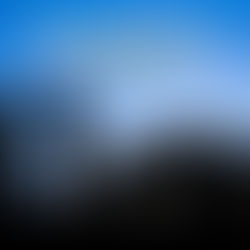 An Ode to the Truck Driver