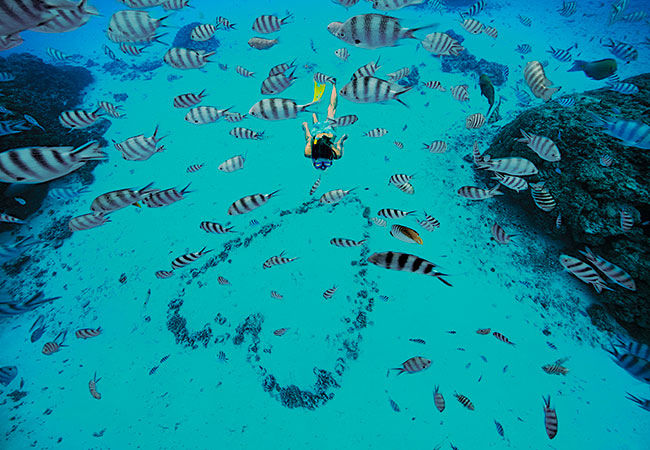 paulgauguin-650x450-snorkeling-19216-hi.jpg