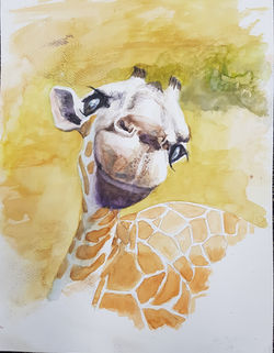 Harry Tolitsas giraff