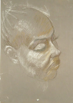 Harry Tolitsas face 3