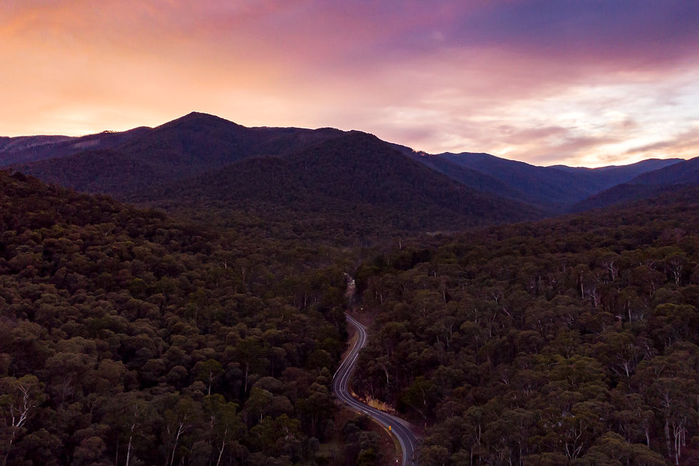 Vigil by Josie Kleinitz — winding valley road under a gold and violet sunrise sky. Soleil.