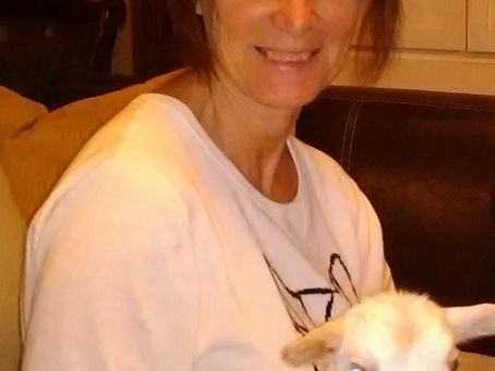 LAURA LINN WANNER
