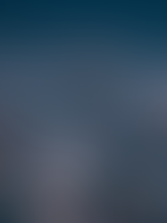 Where to Stay in Tokyo: Neighborhood Guide