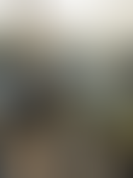 The Independent Rider's Guide: How to Do the Ha Giang Loop Without a Tour