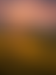 When is the Best Time to Visit Vietnam? A Month-by-Month Weather & Festival Guide