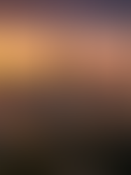 Best Instagram Spots in Taipei