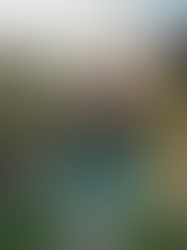 Best Ways to Save Money When Traveling to Bali (2026 Guide)