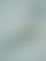 The Perfect 10-Day Japan Itinerary: A First-Timer's Guide to the Golden Route