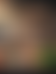 Best Street Food to Try in Hanoi