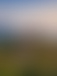 Day Trips from Chiang Mai: Best Nearby Destinations