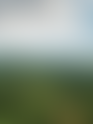 A Hiker's Guide to the Cameron Highlands: 7 Must-Do Trails