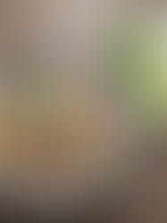 A First-Timer's Street Food Guide to Ho Chi Minh City: 10 Dishes You Can't Miss