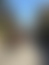 Best Time to Visit Manila: Month-by-Month Guide