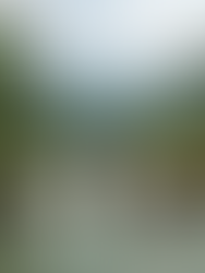 2 Weeks in Thailand Itinerary: From Northern Jungles to Southern Islands