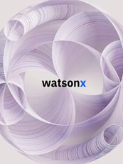 IBM - WatsonX AI