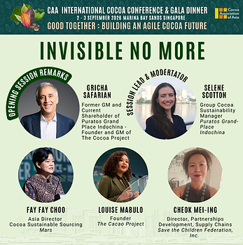 Invisible No More Panel.png