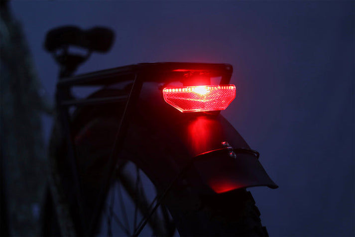 Thumbnail: Young Electric E-Scout Pro 750W Hunting E-Bike – All-Terrain Fat Tire Electric B