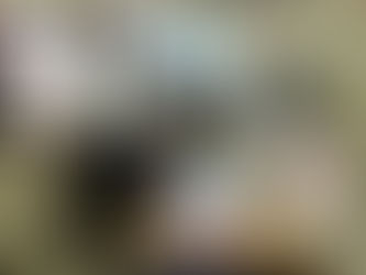 9月24日 研修1日目