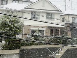 今年2回目の雪