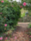 PXL_20220401_151411128.MP.jpg