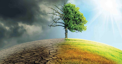 climate-change-tree-865x460.jpg