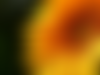 THE TRUTH OF A LIGHTSEEKER