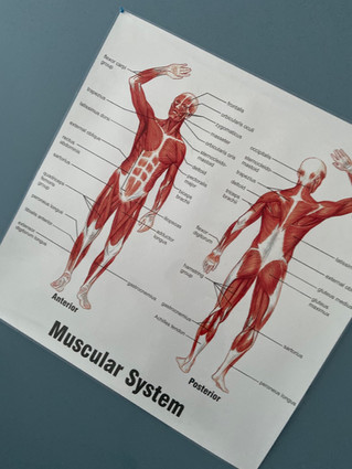 why stretching is so important