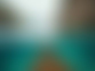 Tarif charpente bois traditionnelle : Estimation des coûts d'une charpente bois