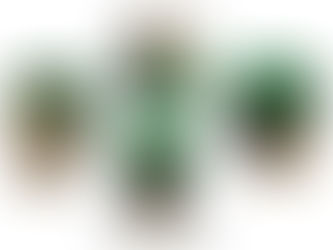 【2026最新】115年度美髮丙級檢定攻略!最新考試日期、報名方式與準備指南,一文搞定!
