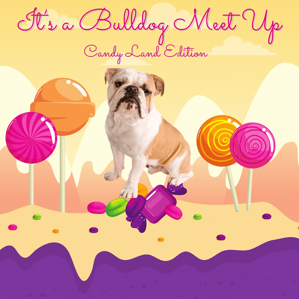 It’s a Bulldog Meet Up: Candyland Edition