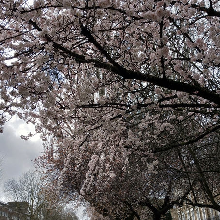 Post Five: Redruth to London