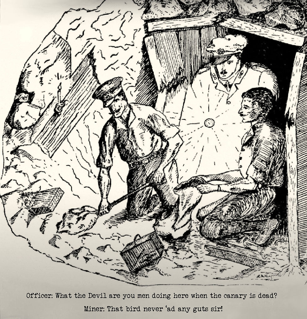 The ridiculously tough tunnellers faced even greater risks in France than they did in the mines at home. Cornish tin and copper mines did not produce explosive gases like coal mines but in France deliberate underground explosions produced deadly methane and carbon monoxide. Also, tunnellers did not escape normal soldiering as British and German tunnels sometimes broke into each other resulting in vicious hand-to-hand fighting.