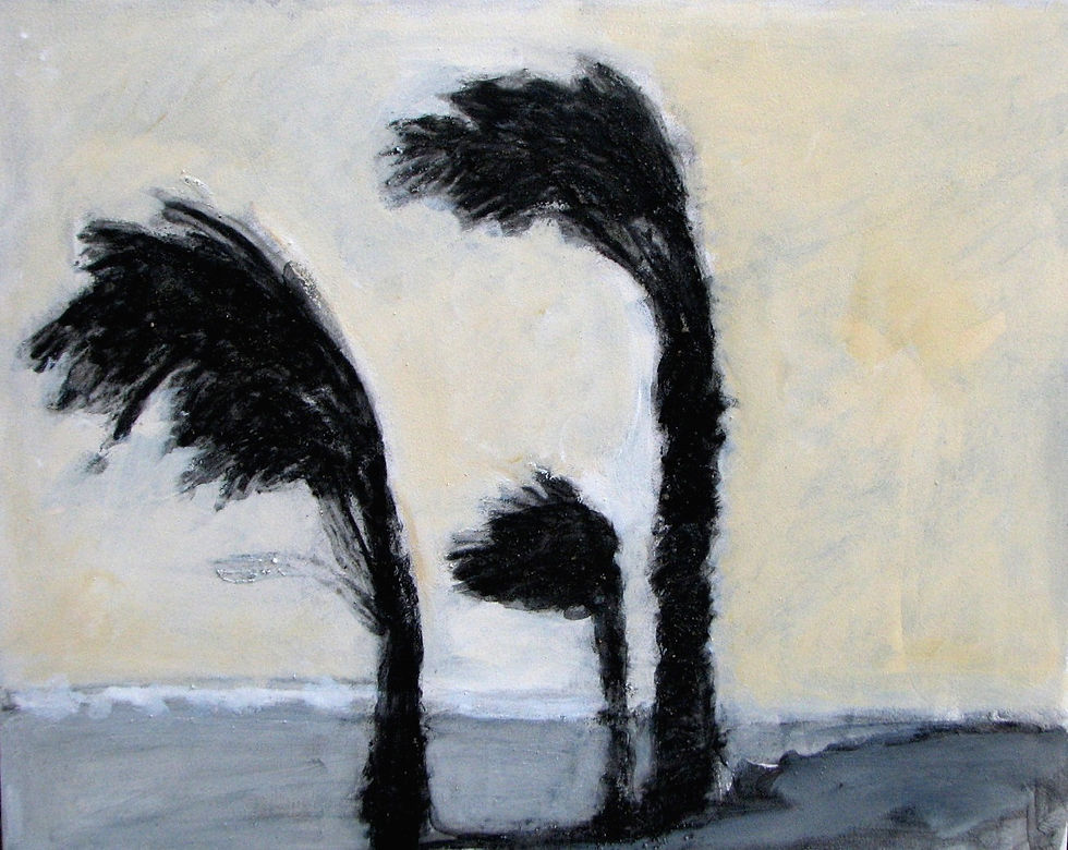 The Storms of Ike, 2009